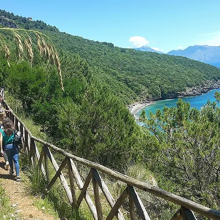 Aparthotel Residence Li Cylentos Hotel Il Villaggio Policastro Scario A 2 Passi Dal Mare *
